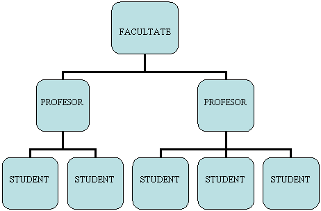 Organization Chart